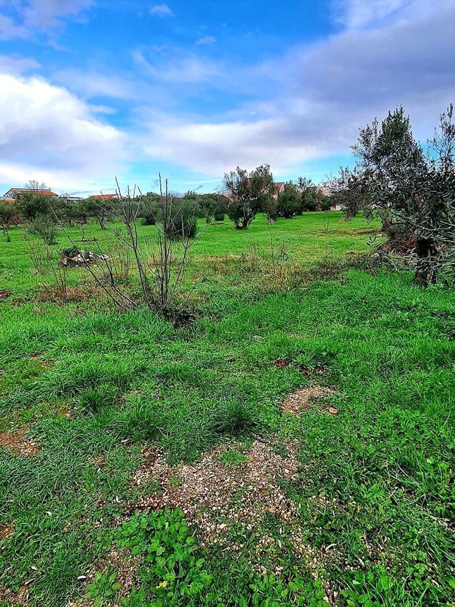 Terrain À vendre - Zadarska Sukošan - foto 1/2