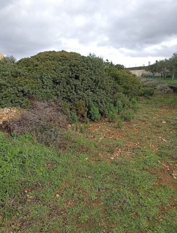 Parcela Naprodaj - Zadarska Sukošan - foto 3/4