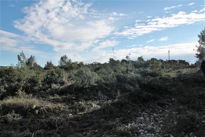 Pozemok Na predaj - Zadarska Zadar - foto 3/3