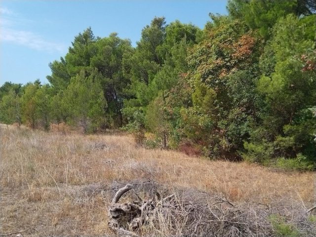 Parcela Na predaj - Zadarska Starigrad - foto 3/12