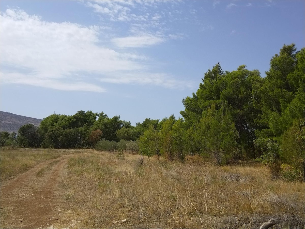 Land For sale - ZADARSKA STARIGRAD