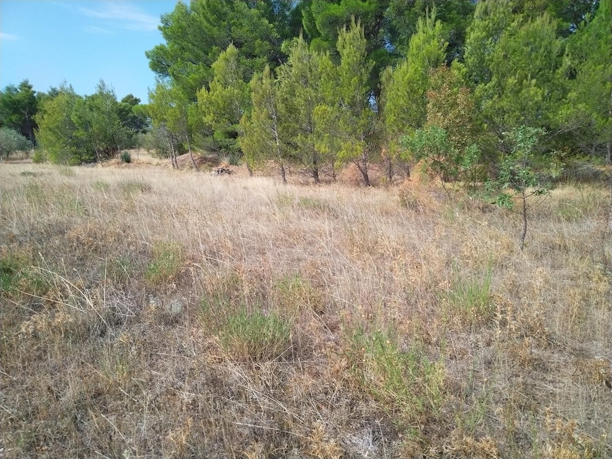 Land For sale - ZADARSKA STARIGRAD