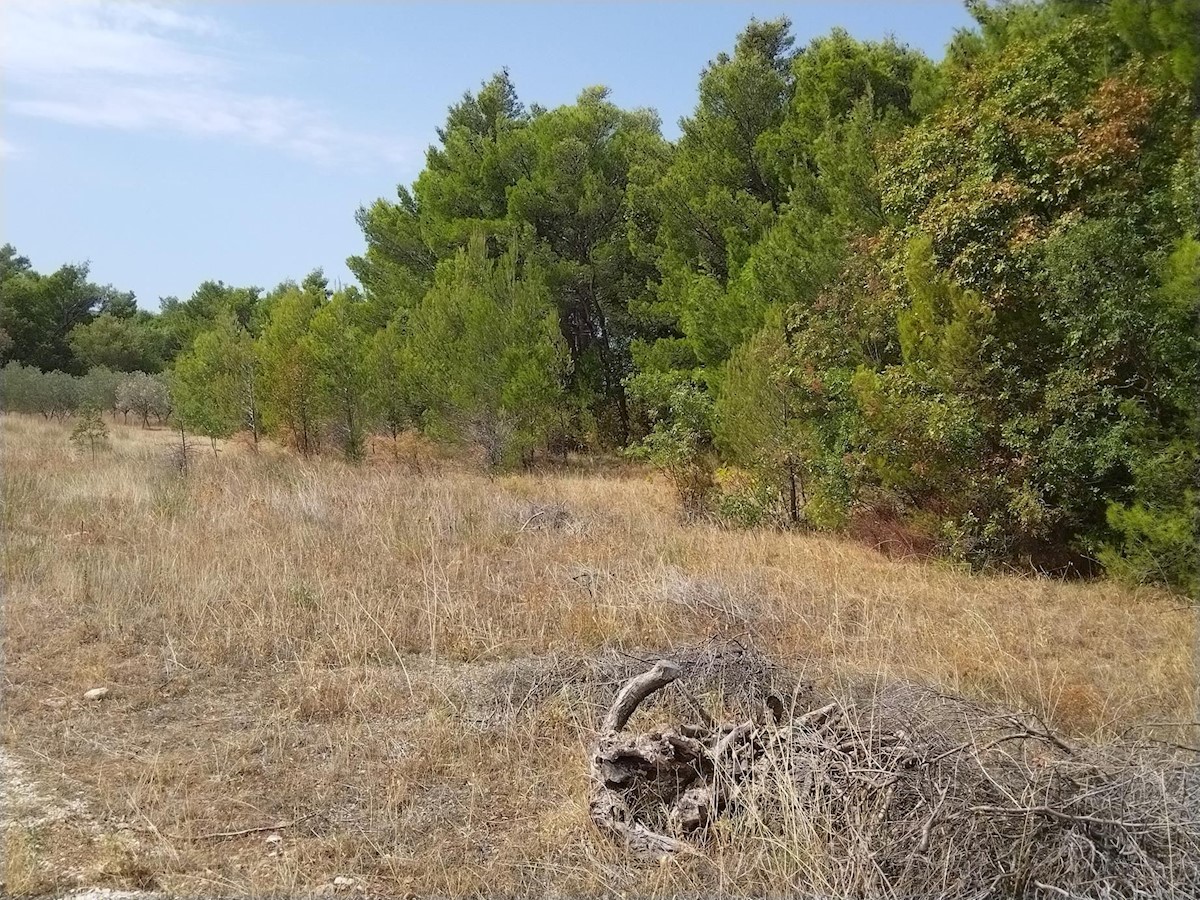 Terreno In vendita - ZADARSKA STARIGRAD