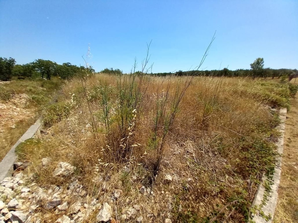 Land For sale - ZADARSKA SUKOŠAN