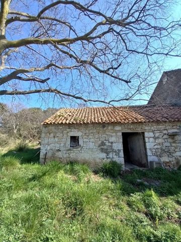 House For sale - Zadarska Sveti Filip I Jakov - foto 4/4