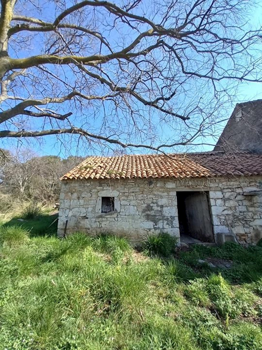 Kuća Na prodaju - ZADARSKA SVETI FILIP I JAKOV