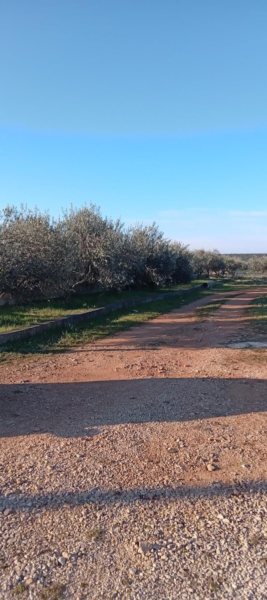 Terreno In vendita - ZADARSKA SUKOŠAN