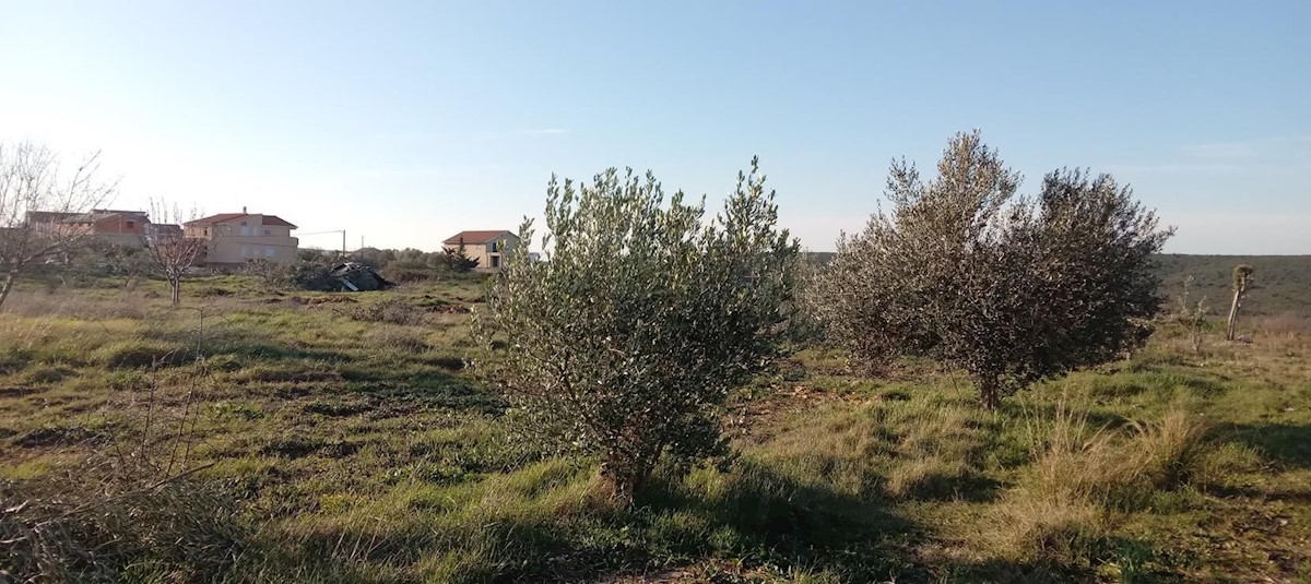 Terreno In vendita - ZADARSKA SUKOŠAN