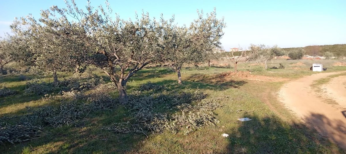 Terreno In vendita - ZADARSKA SUKOŠAN