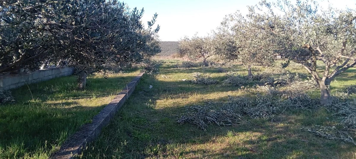 Terreno In vendita - ZADARSKA SUKOŠAN