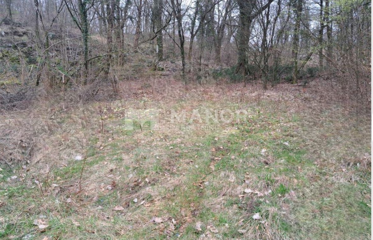 Land For sale - PRIMORSKO-GORANSKA OPATIJA