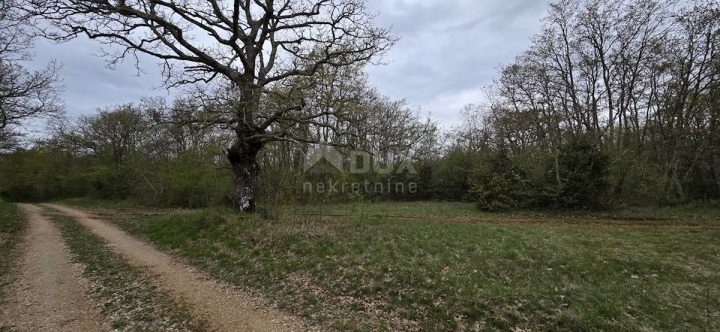 Działka na sprzedaż 174551 m² – Kanfanar