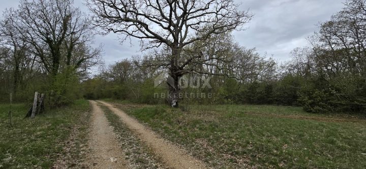 Parcela Naprodaj - Istarska Kanfanar - foto 3/14
