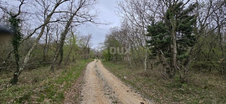 Parcela Naprodaj - Istarska Kanfanar - foto 5/14