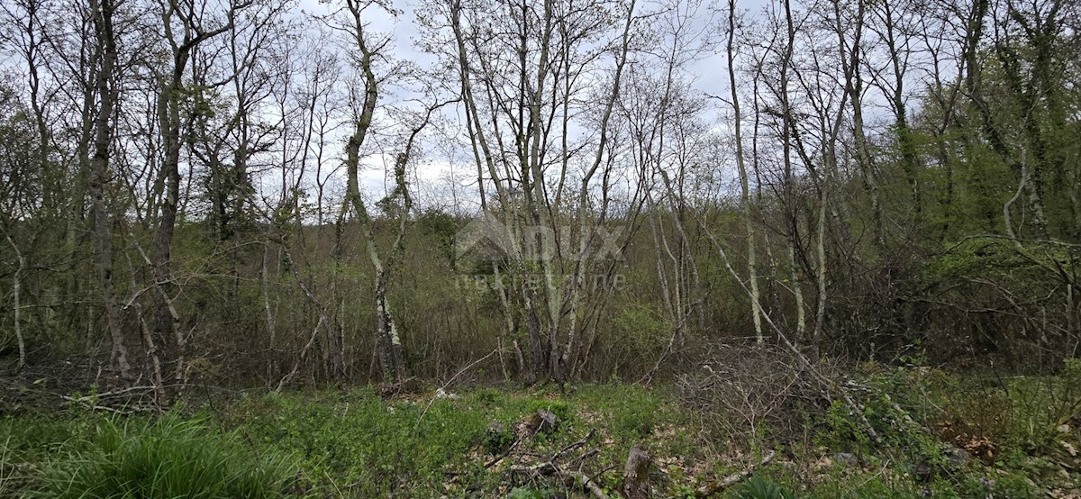 Terrain À vendre - ISTARSKA KANFANAR