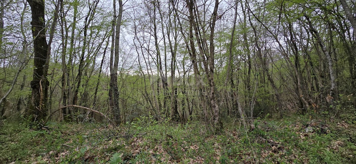Terrain À vendre - ISTARSKA KANFANAR