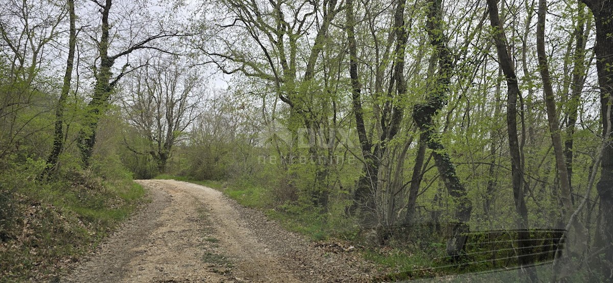 Terrain À vendre - ISTARSKA KANFANAR