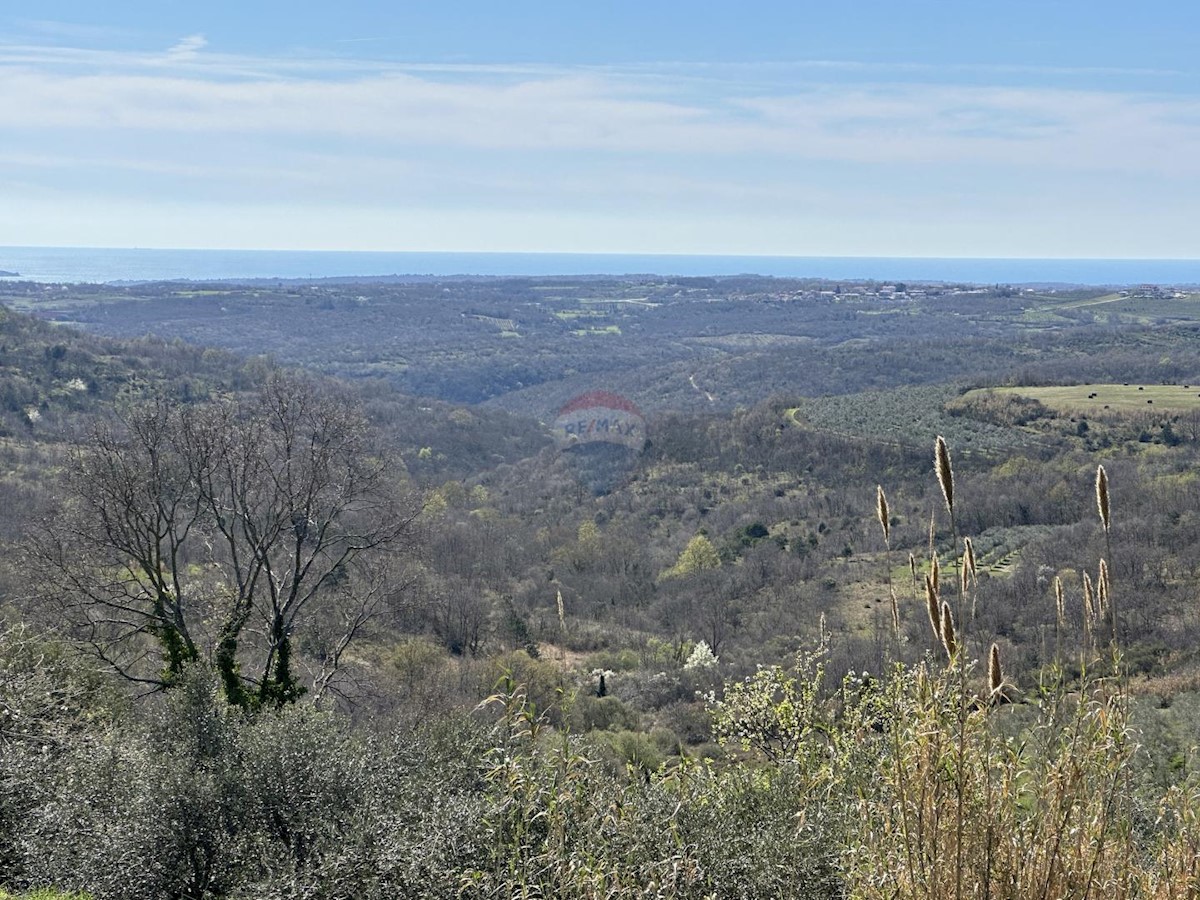 Terreno In vendita - ISTARSKA BUJE