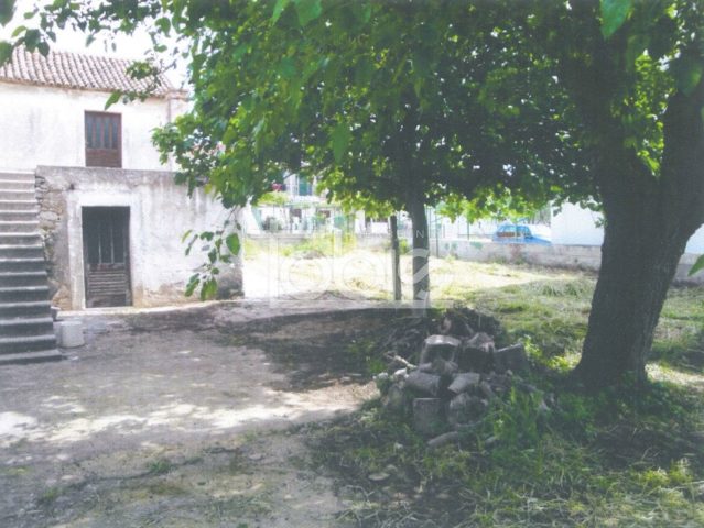 Casa In vendita - Zadarska Sveti Filip I Jakov - foto 4/5