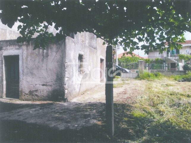 Casa In vendita - Zadarska Sveti Filip I Jakov - foto 5/5