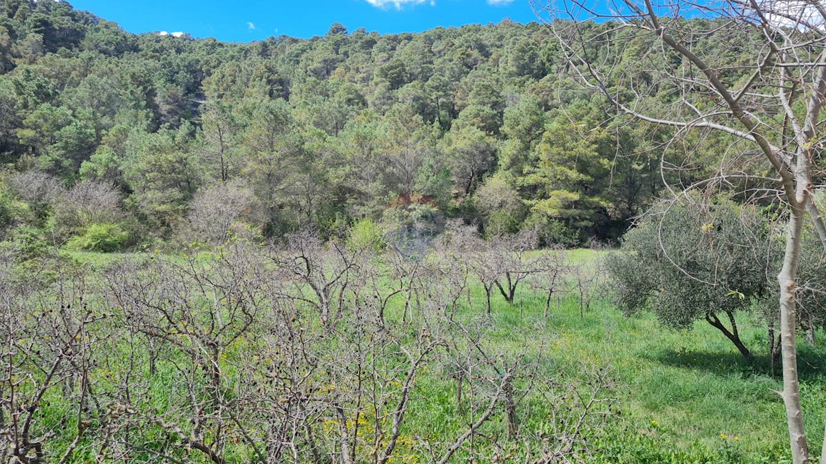 Land For sale - ŠIBENSKO-KNINSKA SKRADIN