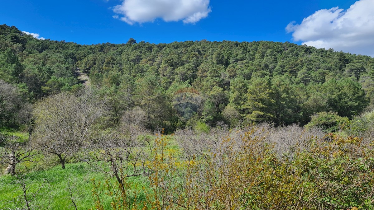 Land For sale - ŠIBENSKO-KNINSKA SKRADIN