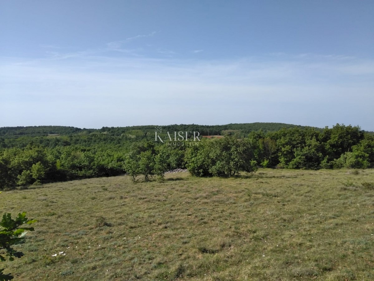 Land For sale - ISTARSKA VIŠNJAN