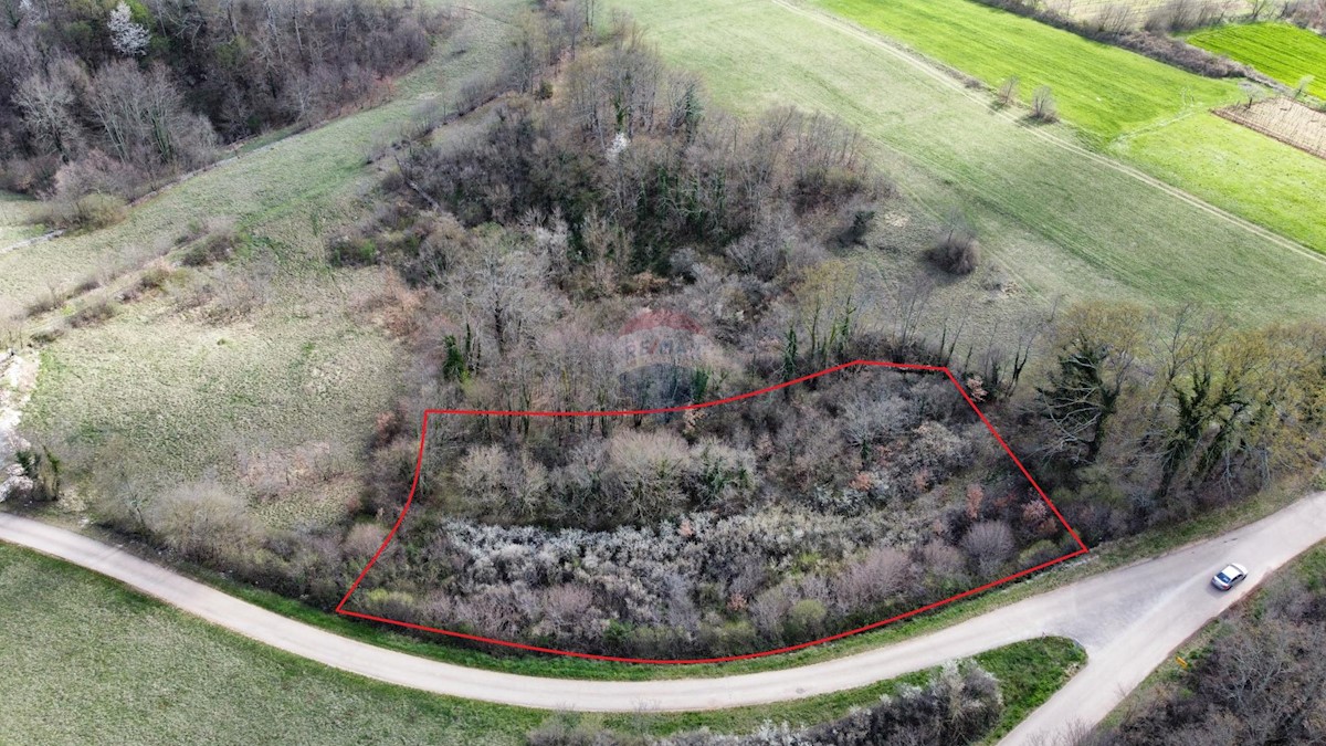 Parcela Naprodaj - ISTARSKA Žminj