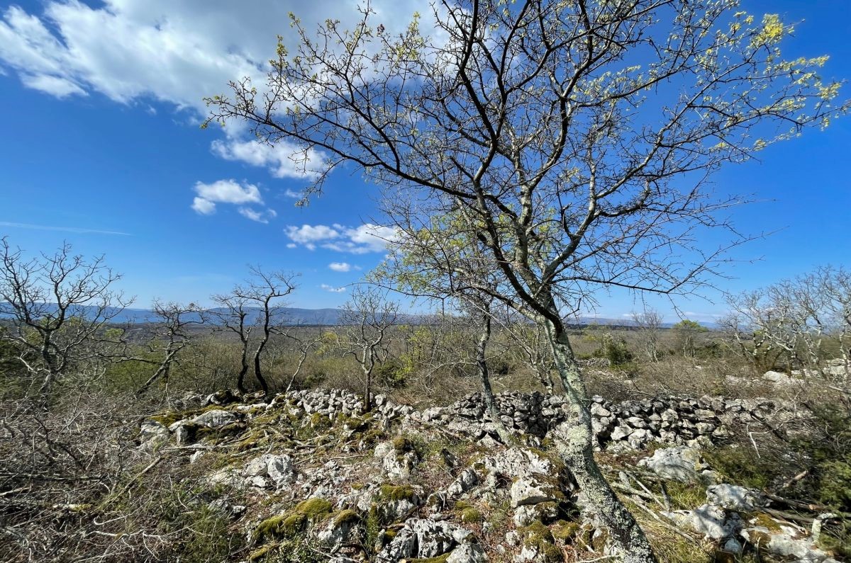Terrain À vendre - Primorsko-goranska Krk - foto 3/3
