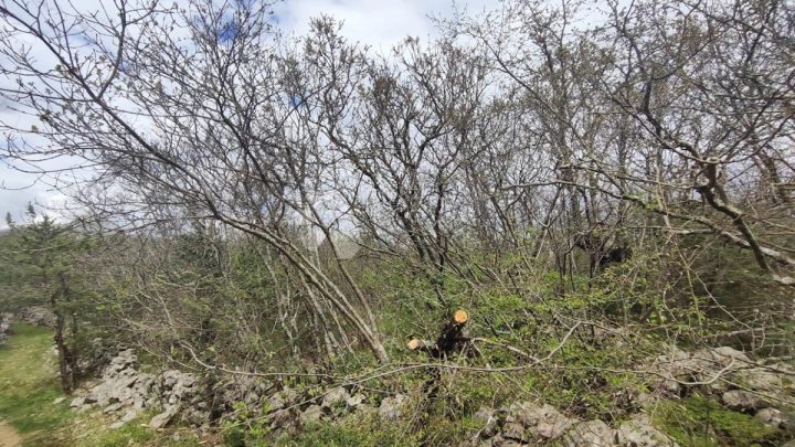 Terreno In vendita - Primorsko-goranska Krk - foto 2/2