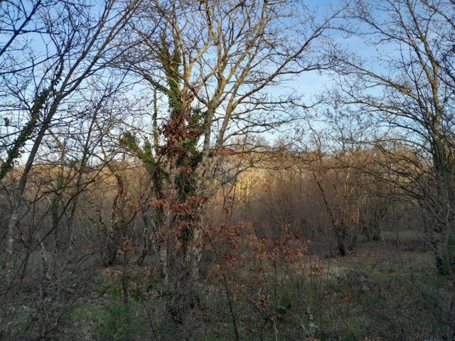 Działka Na sprzedaż - Istarska Marčana - foto 4/4