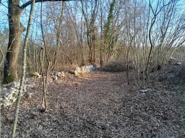 Terreno In vendita - Istarska Marčana - foto 5/5