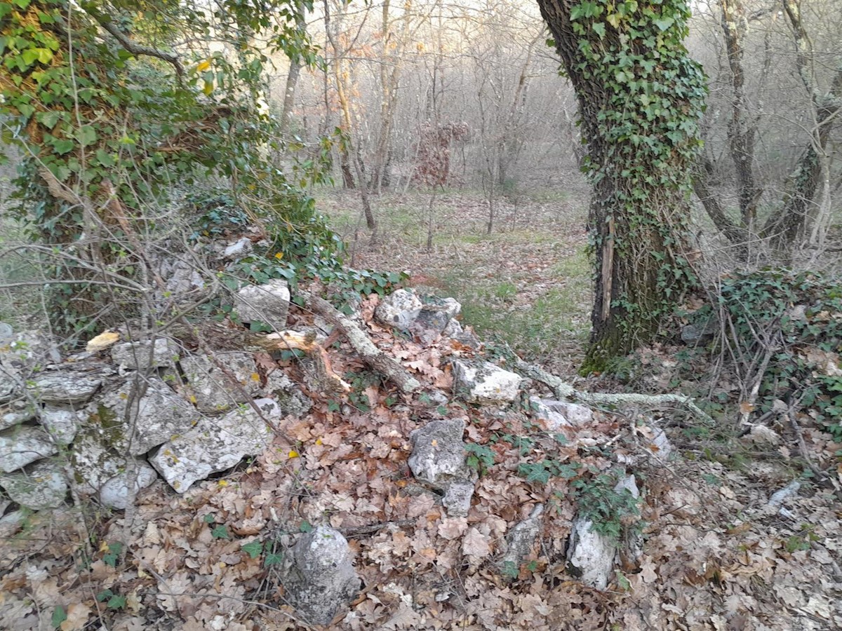 Terreno In vendita - ISTARSKA MARČANA