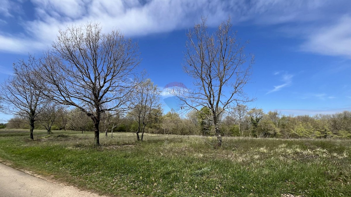 Terreno In vendita - ISTARSKA SVETI LOVREČ