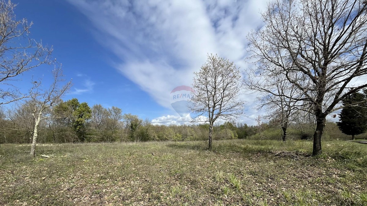 Terreno In vendita - ISTARSKA SVETI LOVREČ