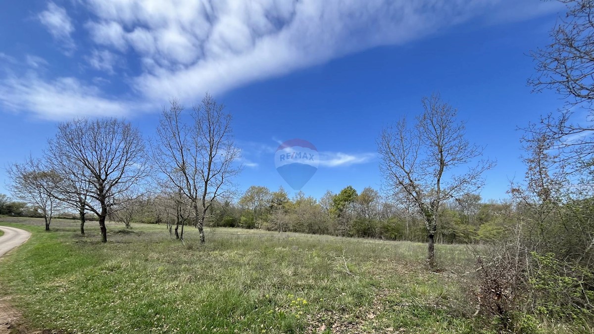 Zemljište Na prodaju - ISTARSKA SVETI LOVREČ