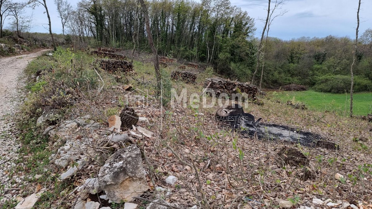 Pozemok Na predaj - ISTARSKA KANFANAR