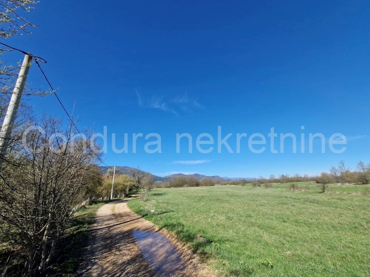 Land For sale - LIČKO-SENJSKA OTOČAC