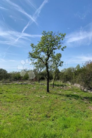 Pozemek na prodej 2295 m² – Rovinjsko Selo