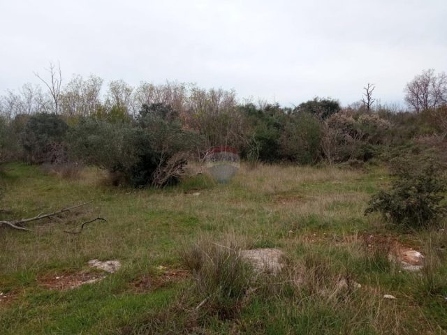 Zemljište na prodaju 5463 m² – Vodnjan