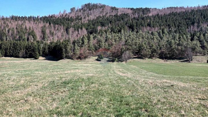 Land for sale 4571 m² – Sunger