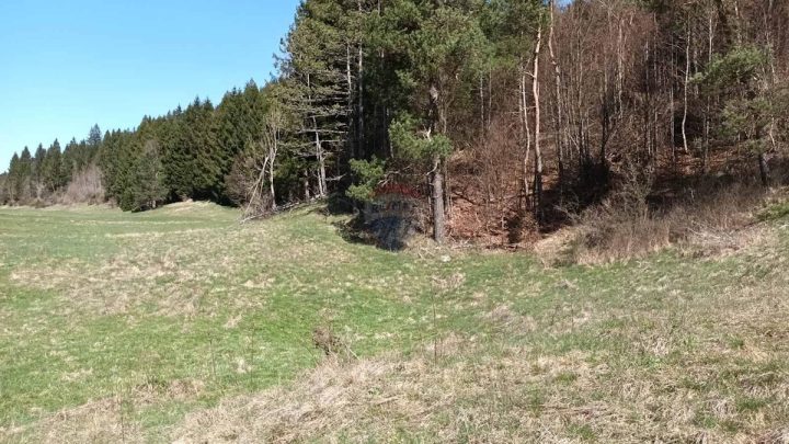 Parcela Naprodaj - Primorsko-goranska Mrkopalj - foto 5/9