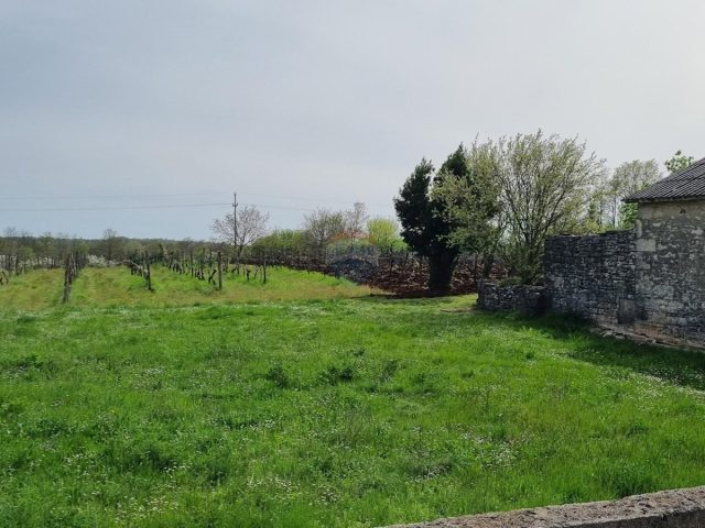 Parcela Na predaj - Istarska žminj - foto 3/4