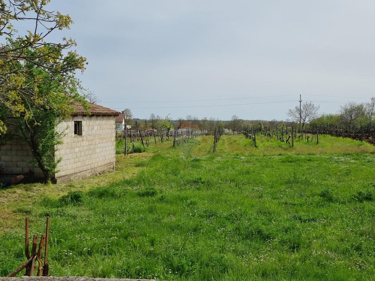 Pozemok Na predaj - ISTARSKA ŽMINJ