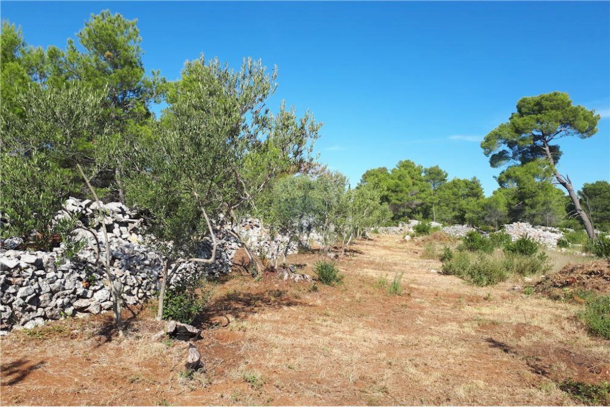 Grundstück Zu verkaufen - SPLITSKO-DALMATINSKA HVAR