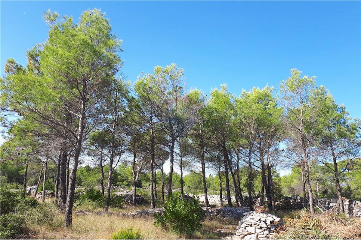 Grundstück Zu verkaufen - SPLITSKO-DALMATINSKA HVAR