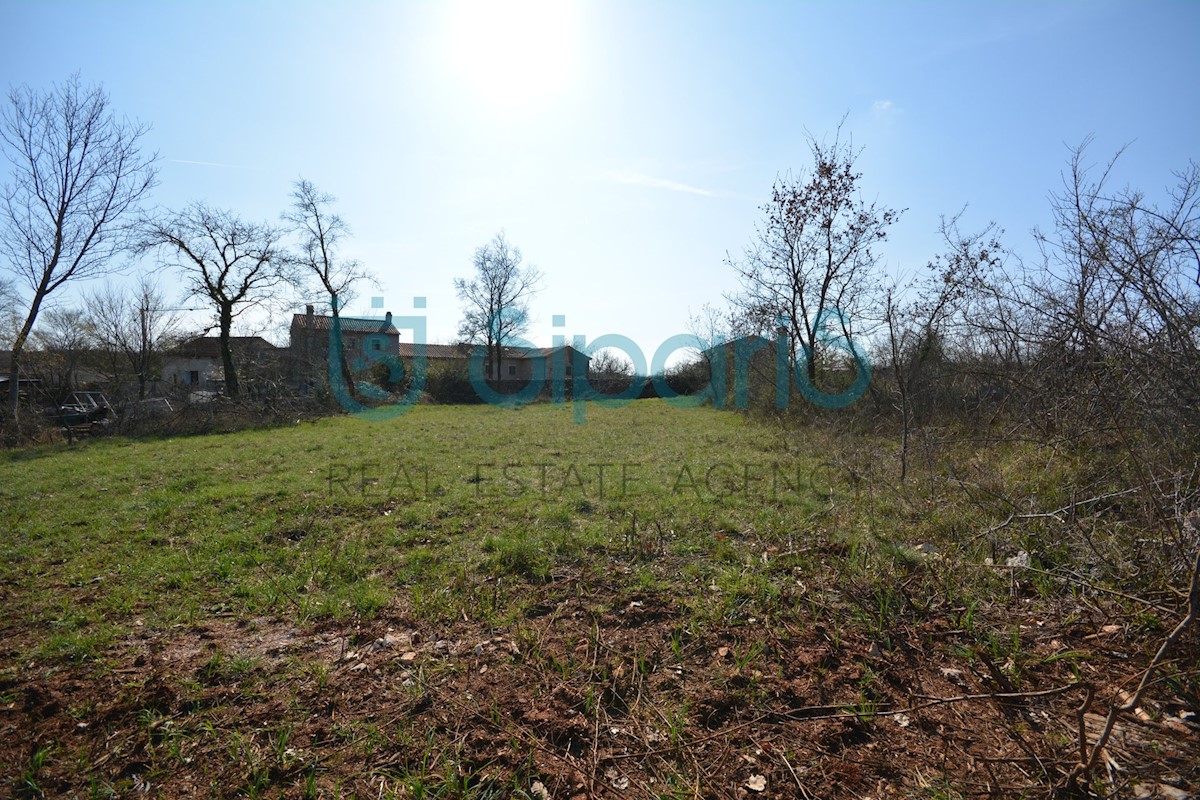 Land For sale - ISTARSKA GROŽNJAN