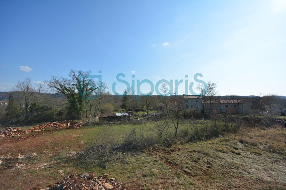 Land For sale - ISTARSKA GROŽNJAN