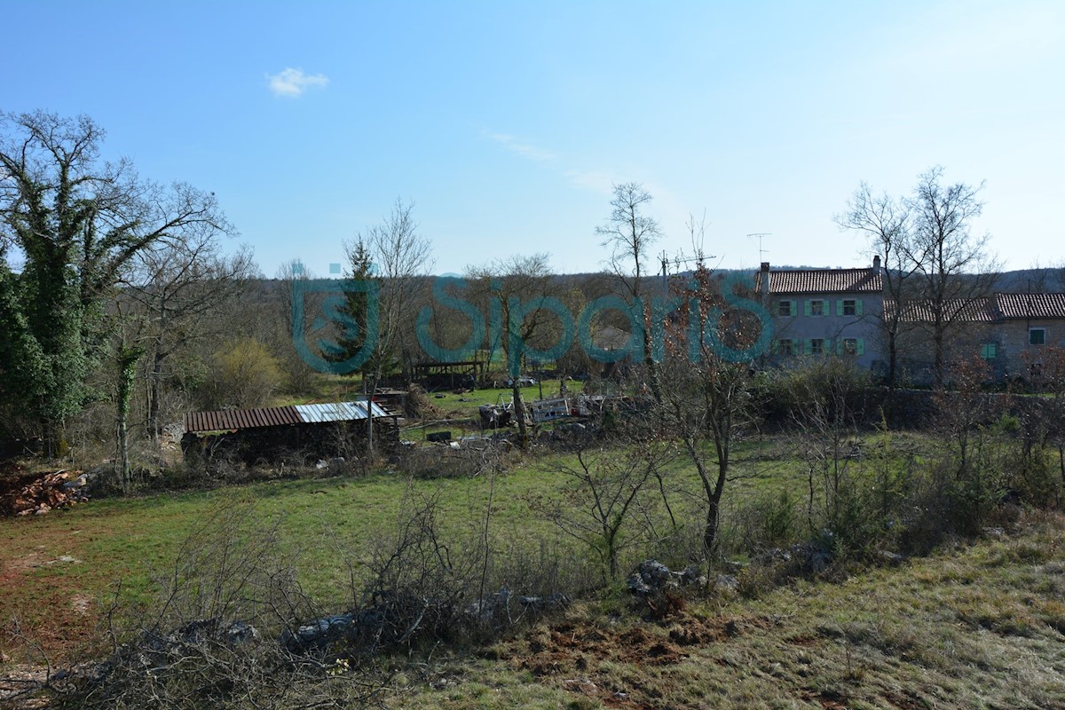 Land For sale - ISTARSKA GROŽNJAN