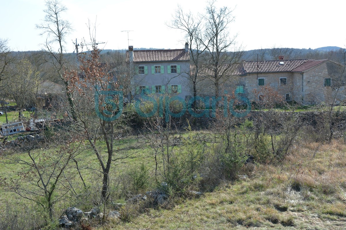 Land For sale - ISTARSKA GROŽNJAN